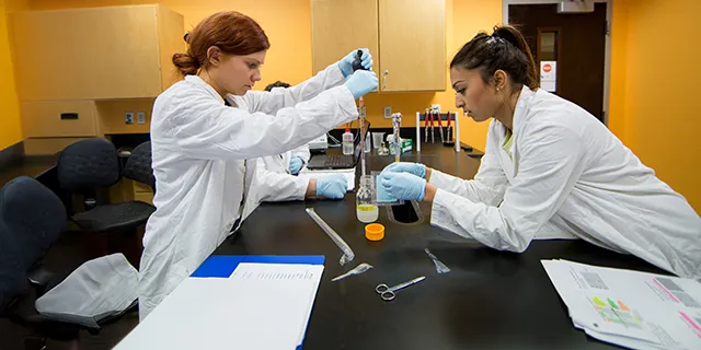 Biochemistry and biophysics doctoral students at KU analyzing protein structures via cryo-EM in a biophysics research lab