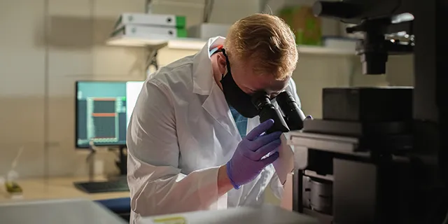Doctor of bioengineering student at KU engineering tissue scaffolds in a bioengineering research lab