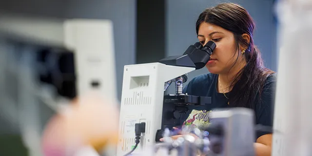 A University of Kansas biology degree students engaged in biology lab