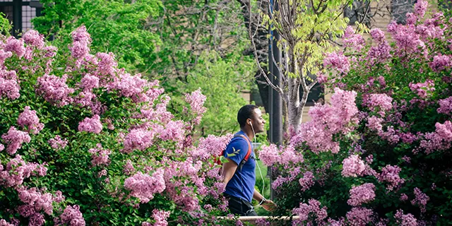 Master of business analytics student walking through KU's campus