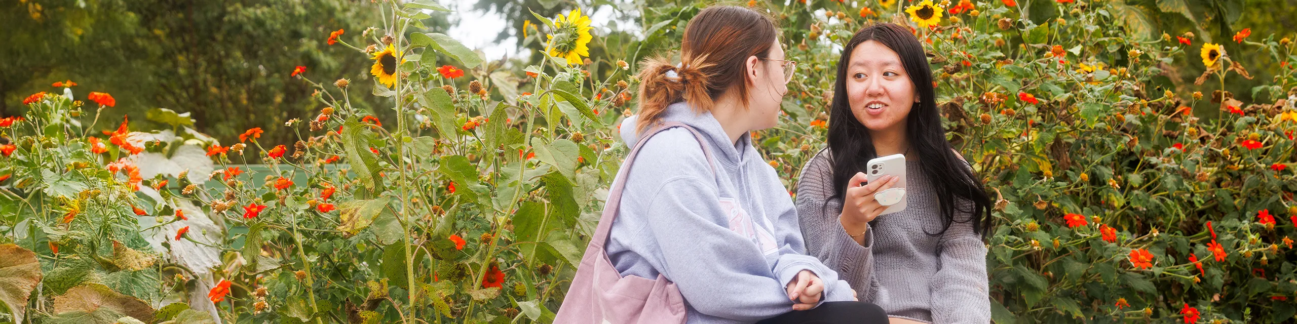 East Asian Language and Culture students catching up on KU's campus