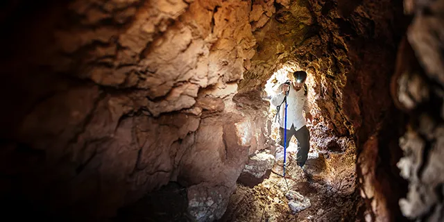 Ecology & evolutionary biology doctorate student at KU conducting field biodiversity surveys at an ecology research site