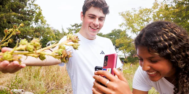 Students conducting environmental fieldwork on KU's campus