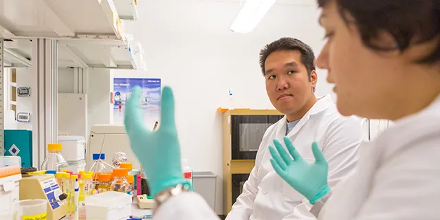 University of Kansas microbiology degree students studying microbes in microbiology lab
