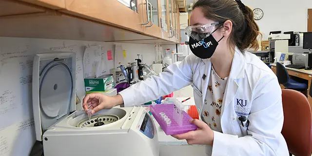 Doctor of molecular and integrative physiology students in KU recording physiological signals in a molecular physiology lab