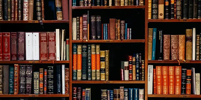 Display of Spanish literature as part of the Doctor of spanish program